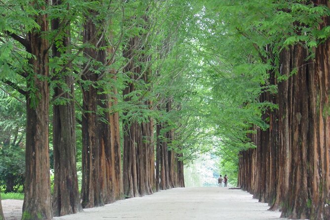 Mount Seorak and Nami Island One Day Tour from Seoul - Why this one-day Seoraksan and Nami route is worth your time
