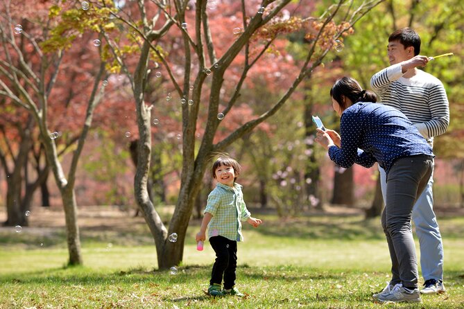 Mount Seorak and Nami Island One Day Tour from Seoul - How guides shape the day: help that actually matters