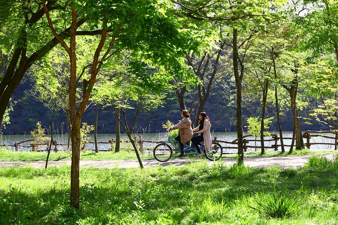 Mount Seorak and Nami Island One Day Tour from Seoul - What’s included vs. what you’ll pay on the spot