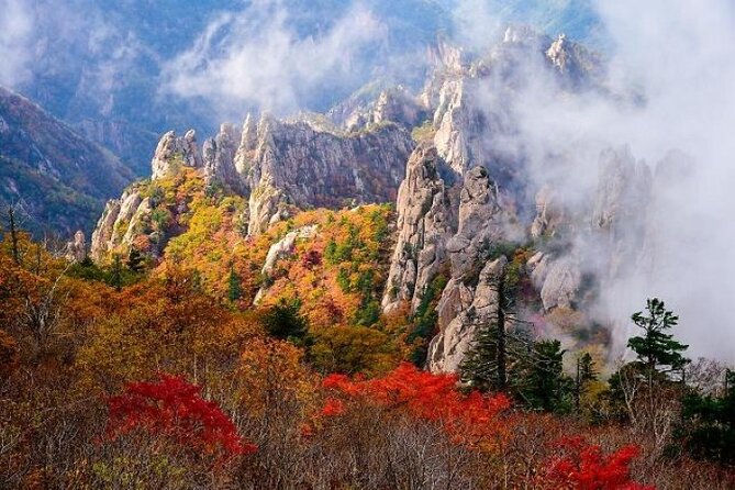 Mt.Seorak & Naksan Temple Day Trip from Seoul - Naksansa Temple: Calm, Sea Views, and a Slower Pace