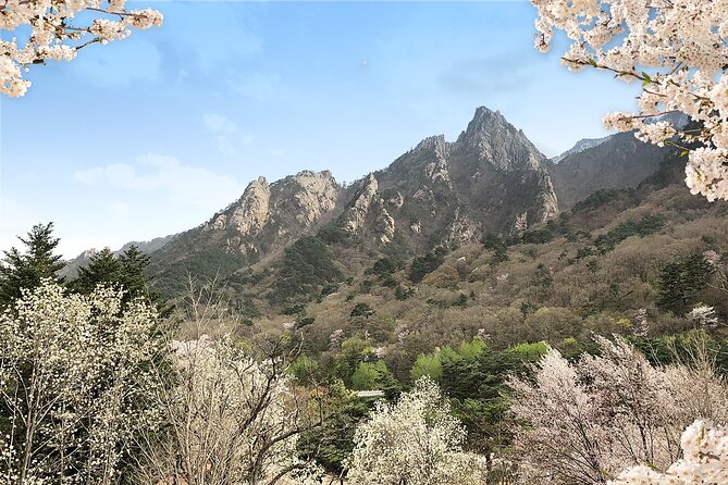 Mt. Seorak+Nami Island+Garden of Morning Calm Day Trip from Seoul - A full-day sweep: Mt. Seorak, Nami Island, and the Garden of Morning Calm