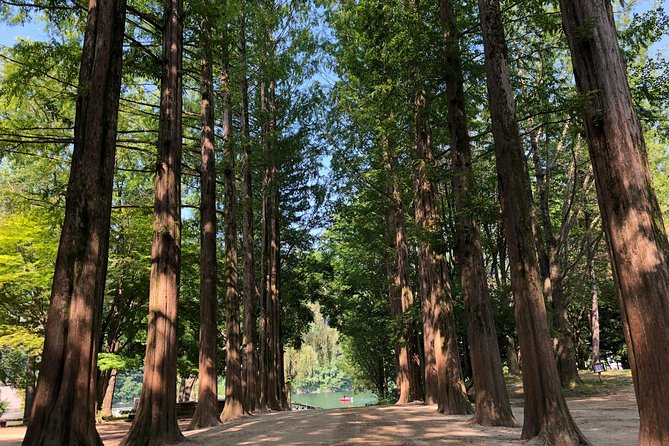 Mt. Seorak+Nami Island+Garden of Morning Calm Day Trip from Seoul - Seoraksan hiking choices: cable car vs Jujeongol Valley in fall