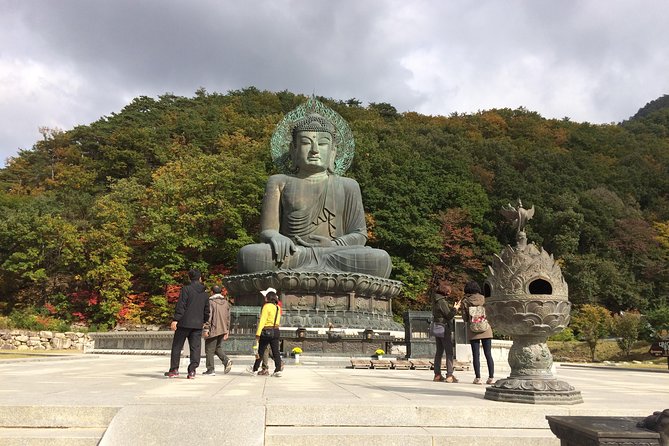 Mt. Seorak+Nami Island+Garden of Morning Calm Day Trip from Seoul - Nami Island by ferry: cherry and ginkgo strolls with crowd reality