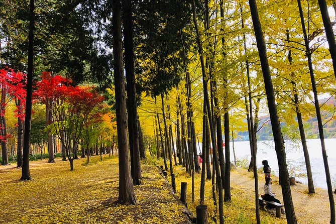 Mt. Seorak+Nami Island+Garden of Morning Calm Day Trip from Seoul - Price and value: why $95.18 can work (and where extra costs hide)