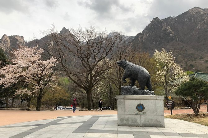Mt. Seorak+Nami Island+Garden of Morning Calm Day Trip from Seoul - How to pack and move: footwear, snacks, and smart timing