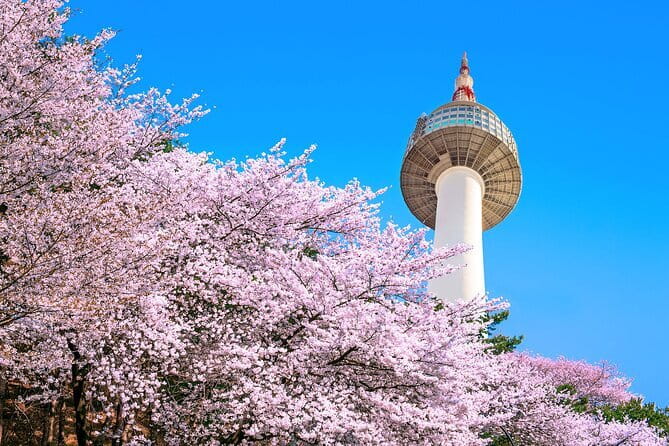 N Seoul Tower Observatory Ticket South Korea - Key highlights at N Seoul Tower Observatory