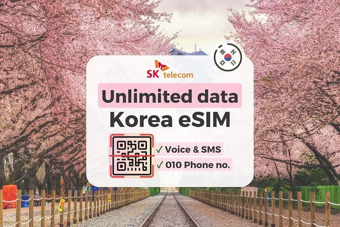 N Seoul Tower Observatory Ticket South Korea - Who this experience fits best (and who should skip it)