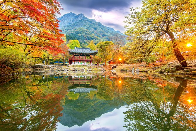 Naejangsan National Park Autumn Foliage One Day Tour from Seoul - Naejangsan Autumn Leaves: Why This Park Gets the Attention