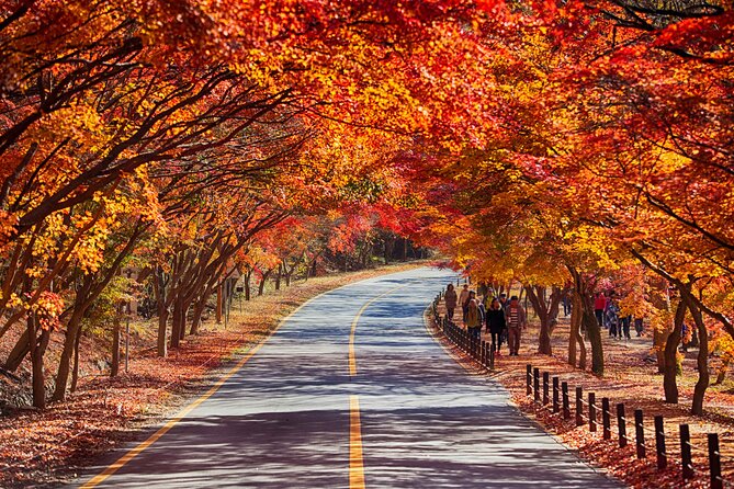 Naejangsan National Park Autumn Foliage One Day Tour from Seoul - Naejangsa Temple Visit: What You’ll See Beyond the Leaves