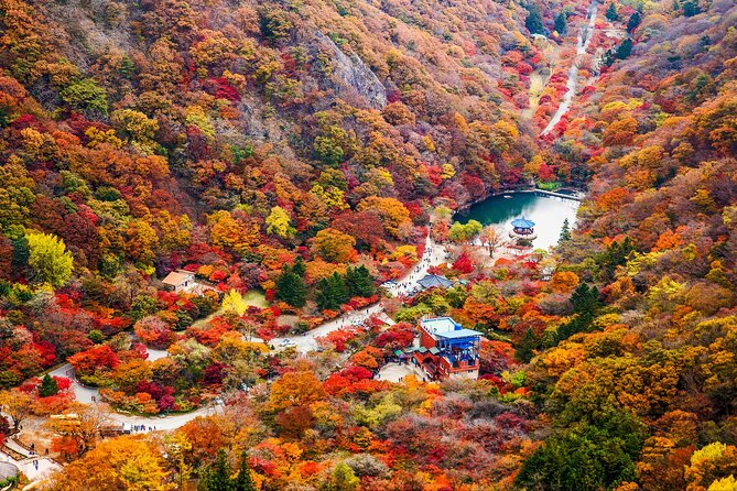 Naejangsan National Park Autumn Foliage One Day Tour from Seoul - Price and Value: Is $46.29 a Good Deal?