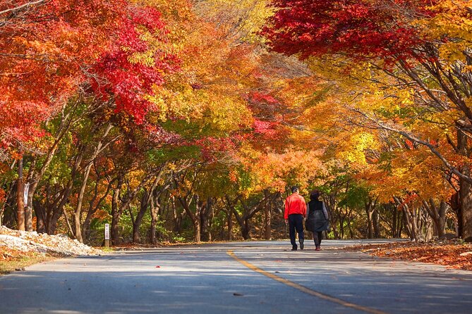 Naejangsan National Park Autumn Foliage One Day Tour from Seoul - Practical Tips for a Smooth Autumn Leaf Day