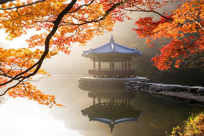 Naejangsan National Park Autumn Foliage One Day Tour from Seoul - Leaving Seoul on a Coach: Pickup, Briefing, and the Long Ride Reality