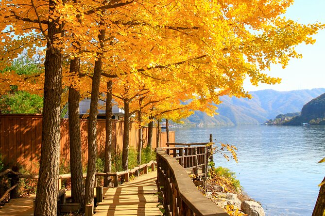 Nami Island and Begonia Bird Park Tour from Seoul (opt Railbike) - Nami Island: walk it slow, or go extra with a bike