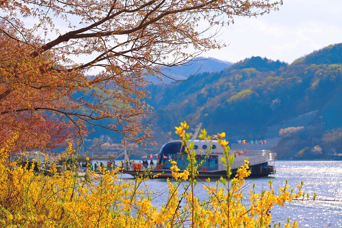 Nami Island and Begonia Bird Park Tour from Seoul (opt Railbike) - Price and logistics: what $58.20 really buys you