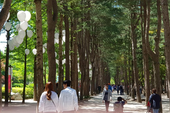 Nami Island and Petite France - Filming location - Nami Island by Mini Ferry: Trees, Drama Vibes, and Photo Time