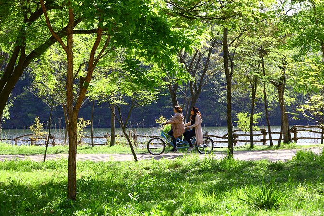 Nami Island and Petite France & Italian Village Day Trip from Seoul - Nami Island: The Main Event With Enough Time to Breathe