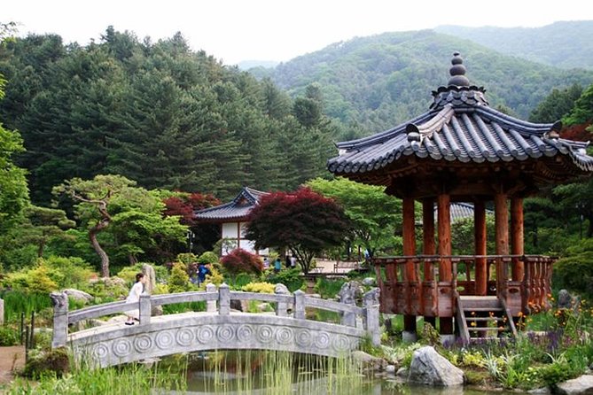 Nami Island, Cable Car, Garden of Morning Calm Panoramic Tour - Ginseng museum stop: short, included, and good for souvenir shopping