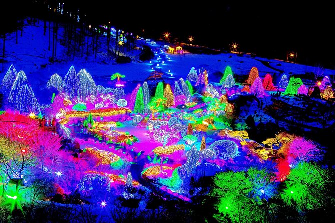 Nami Island, Cable Car, Garden of Morning Calm Panoramic Tour - Price and value: is $109 worth a day like this?