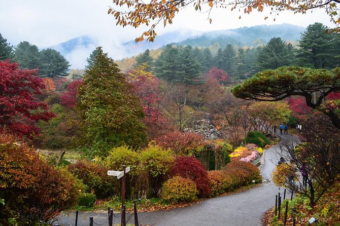 Nami Island from Seoul: Petit France and Garden of Morning Calm - Why This Nami Island Day Trip Works From Seoul