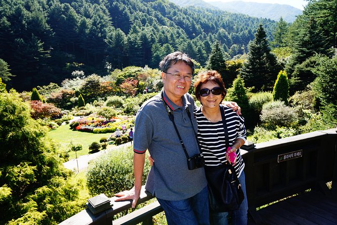 Nami Island from Seoul: Petit France and Garden of Morning Calm - Price and What You’re Really Paying For ($270)
