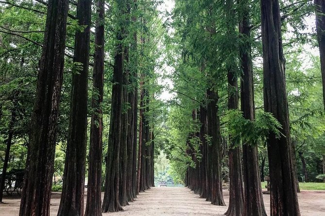Nami Island & Nearby Attractions : Charter Van Tour With Driver - Stop 2: Nami Island Winter Sonata Scenery (Yes, It Gets Crowded)