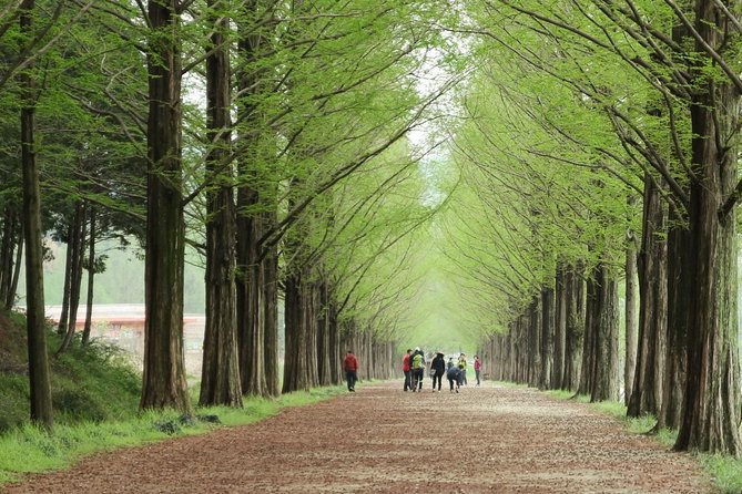 Nami Island& Petite France& Garden of Morning Calm& Italian Village One-Day Tour - Price and value: what $76 really covers