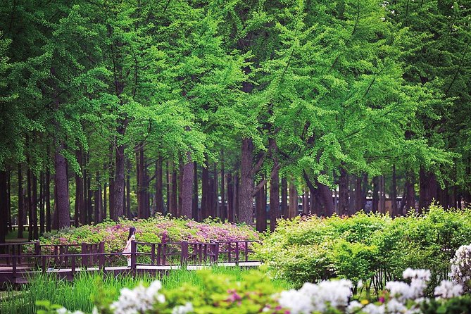 Nami Island& Petite France& Garden of Morning Calm& Italian Village One-Day Tour - Time management: how the schedule can feel tight or perfect