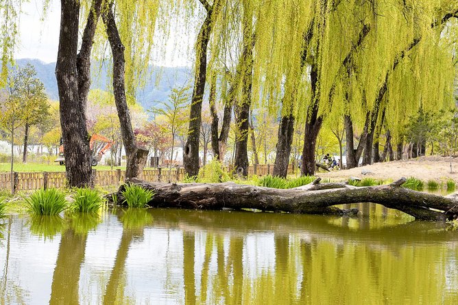 Nami Island & Petite France with Italian Village One-Day Tour - The Italian village stop (and how to make the most of it)
