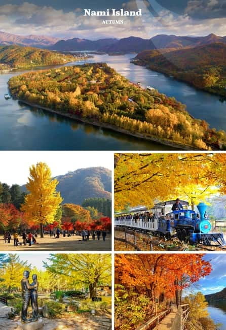 Nami Island, Railbike & Alpaca Garden Day Trip from Seoul - Who this tour suits best (and who might want to think twice)
