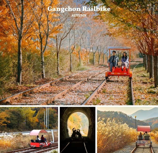 Nami Island, Railbike & Alpaca Garden Day Trip from Seoul - Why this Seoul day trip hits differently in fall