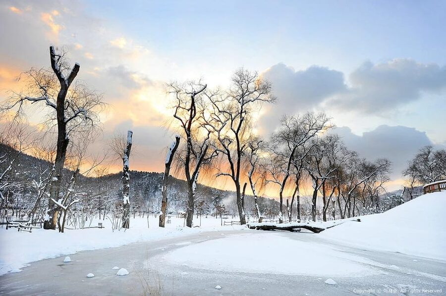 Nami Island, Railbike & Alpaca Garden Day Trip from Seoul - What the day feels like: pace, comfort, and packing tips
