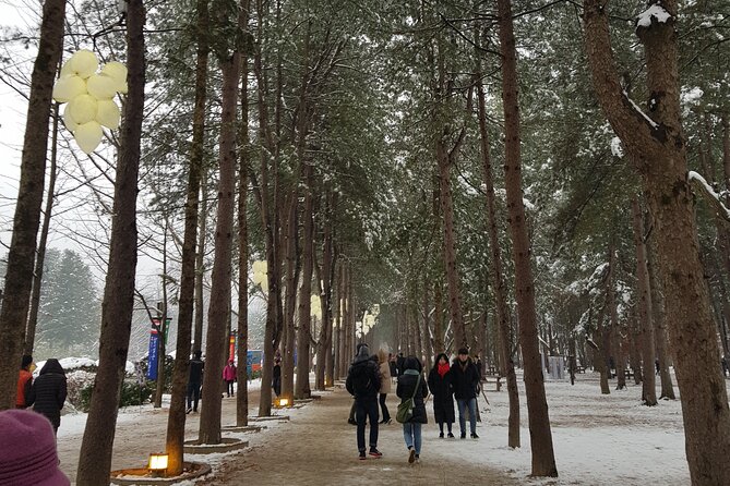 Nami Island + Ski Tour - The real value of a $100 day: where your money goes