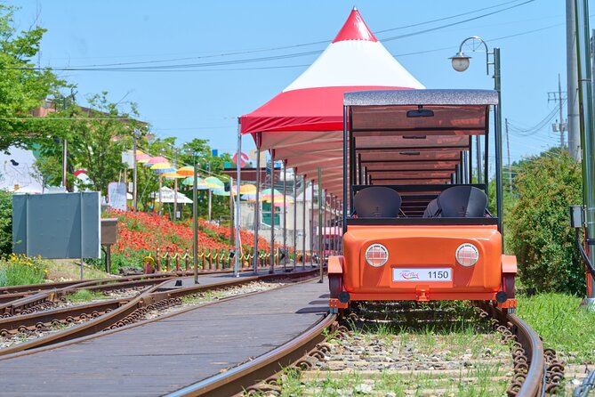 Nami Island Trip with Petite France & Italian Village and Gangchon Rail Bike - Timing, Weather, and Group Size: How to Make the Day Feel Smooth