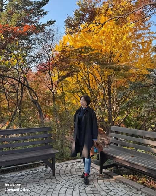 Nami & Maple Road & Theatre des Lumieres Day Tour from Seoul - Lumières Light Show: Seoul’s first media-art night escape