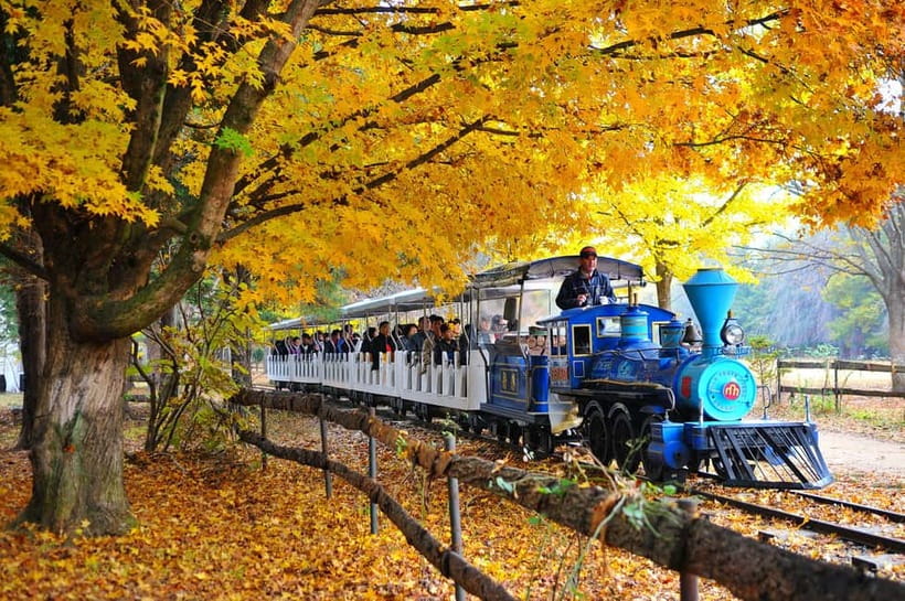 Nami & Maple Road & Theatre des Lumieres Day Tour from Seoul - Should you book Nami Island + Walkerhill Maple Road + Lumières?