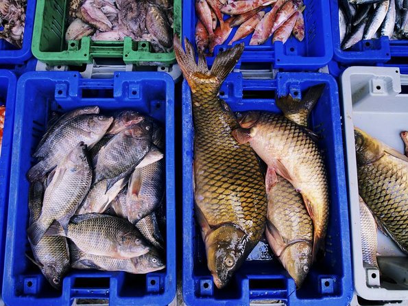 Noryangjin Fish Market Dinner - Key Highlights Worth Your Time
