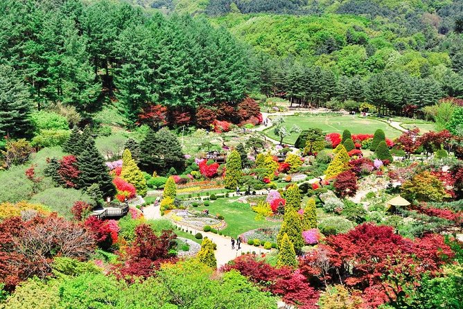One Day Private Tour-Nami, Petite and Garden of Morning Calm - A 9-Hour Route That Feels Like Three Different Worlds