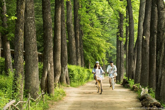 One Day Private Tour-Nami, Petite and Garden of Morning Calm - The Garden of Morning Calm: A Private Garden Built for Wandering