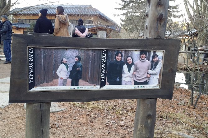 One Day Private Tour-Nami, Petite and Garden of Morning Calm - Price and Value for a Private Day Trip From Seoul