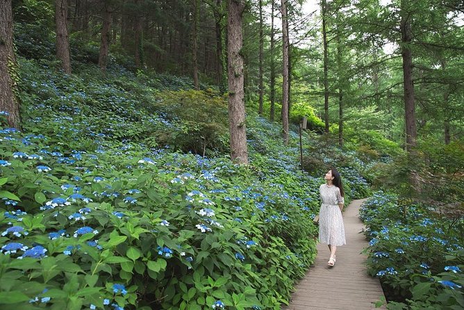 One Day Private Tour-Nami, Petite and Garden of Morning Calm - What the Timing Feels Like (and How to Not Rush Yourself)