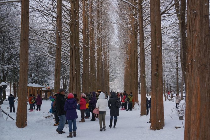 [Perfect Private Tour] Nami island, Petite France and Organic Strawberry Farm - Stop 2: Petite France for the fairy-tale look and K-drama fans