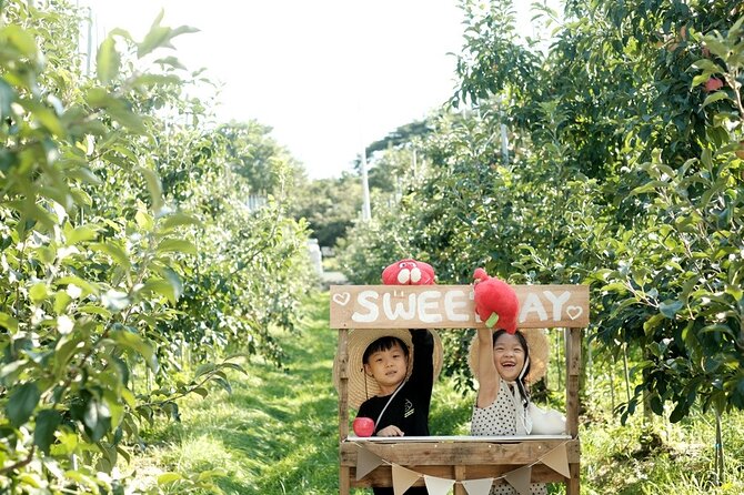 Pocheon Art Valley, Garden & Fruit Picking Day Tour from Seoul - Garden of Morning Calm: Korea’s oldest private garden (and why timing matters)