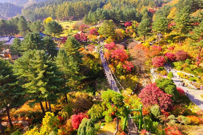 Pocheon Art Valley, Garden & Fruit Picking Day Tour from Seoul - Fruit picking in Pocheon: apples in warmer months, strawberries when in season