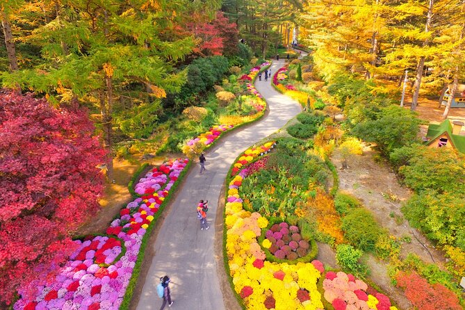Pocheon Art Valley, Garden & Fruit Picking Day Tour from Seoul - Chorigol-gil in winter: sledding options and free time to roam