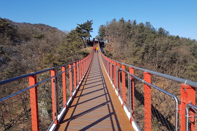 Premium Private DMZ Tour & (Suspension Bridge or N-Tower) include lunch - A $198 day with real borders and real pacing
