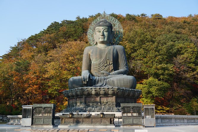 [Premium Private Tour] Mt Seorak & East Sea or Nami island from Seoul - Seoraksan First: How the Day Gets Its Legs
