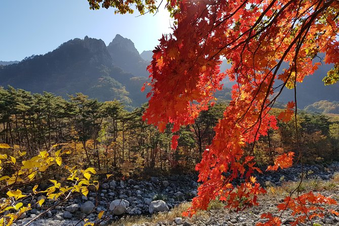 [Premium Private Tour] Mt Seorak & East Sea or Nami island from Seoul - Price and Value: What You’re Actually Paying For