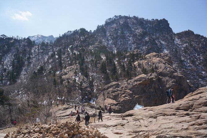 [Premium Private Tour] Mt Seorak & East Sea or Nami island from Seoul - The Guide Factor: Why a Pro Changes the Whole Day