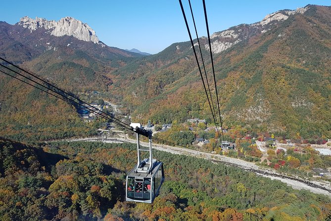 [Premium Private Tour] Mt Seorak & East Sea or Nami island from Seoul - Cable Car and Walking: What You Should Expect in Practice