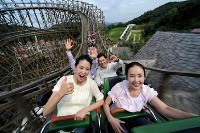 Private 4 days Nami Island&Petite France&Seoul&Everland tour - Private door-to-door Seoul comfort and what’s actually included
